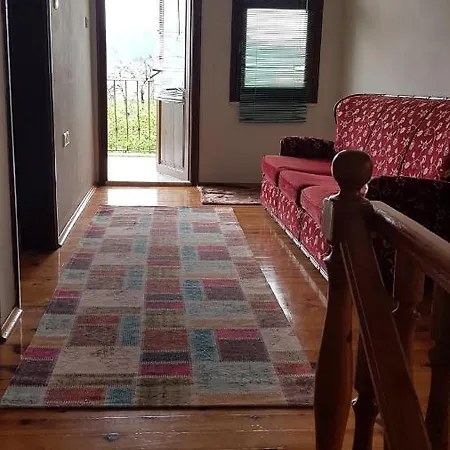 Holiday home Asma Trabzon