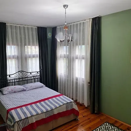 Asma Holiday home